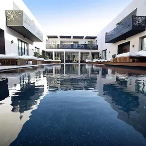 Cesar & Marrakesh